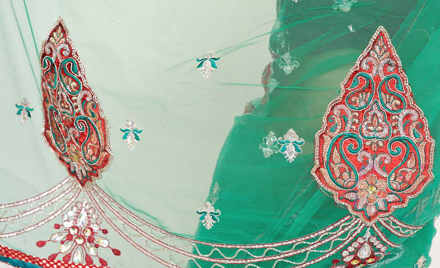 Exotic India net with Blouse Piece Saree (SDD47_Multicoloured_FS)